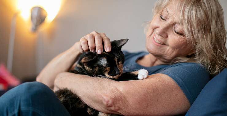 Senior woman happy while petting a cat