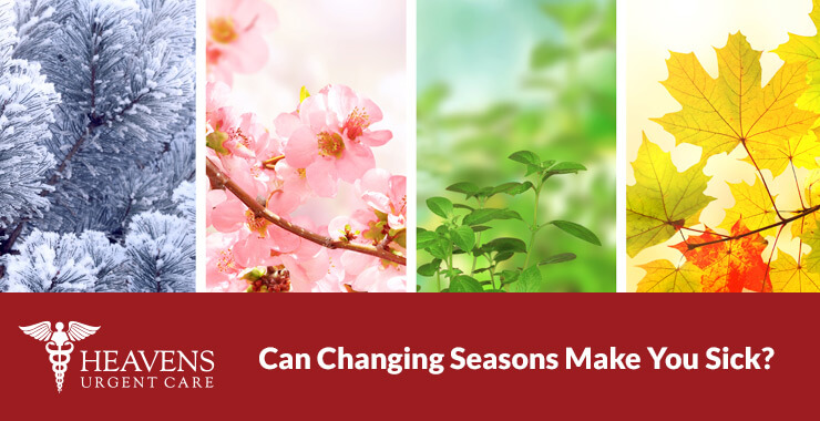 4 column graphic. Each column has an image of a tree from a different season.